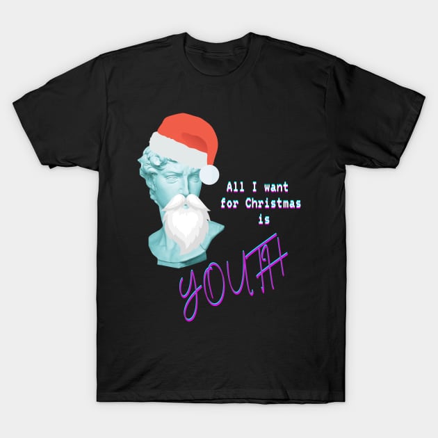 All I want for Christmas is youth T-Shirt by Shirt Vibin